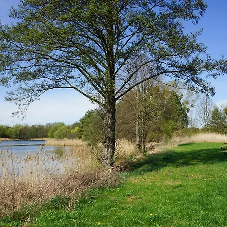 Slube An Der Marina